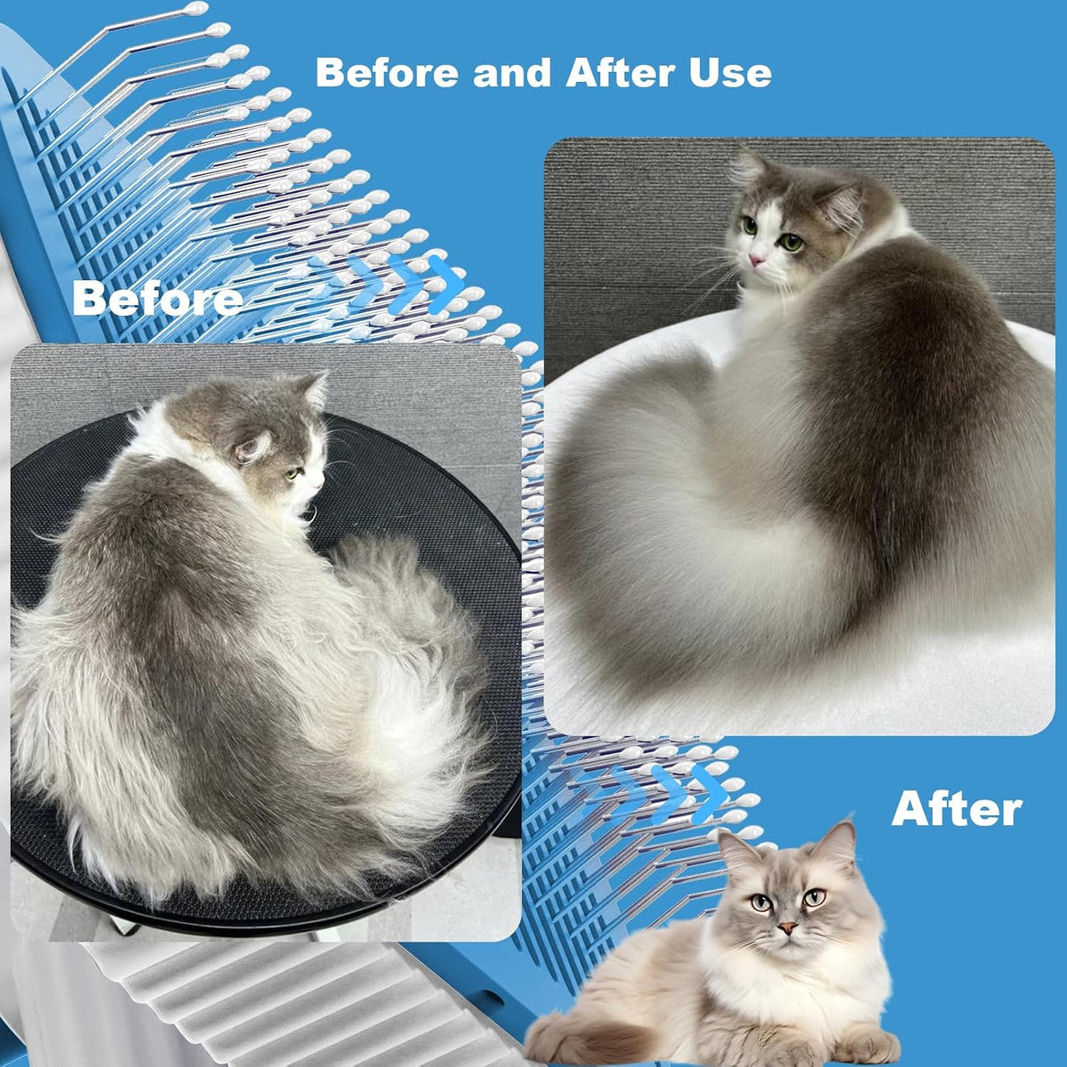 Cat Brush for Long & Short-Haired Cats